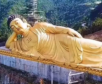 /mingxing/a531743.html