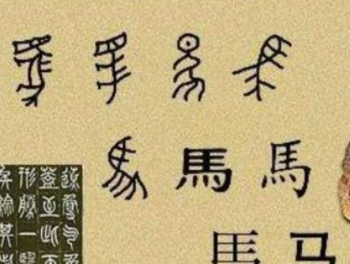 /mingxing/a531744.html