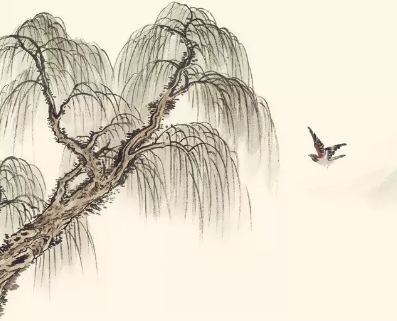 /mingxing/a531763.html