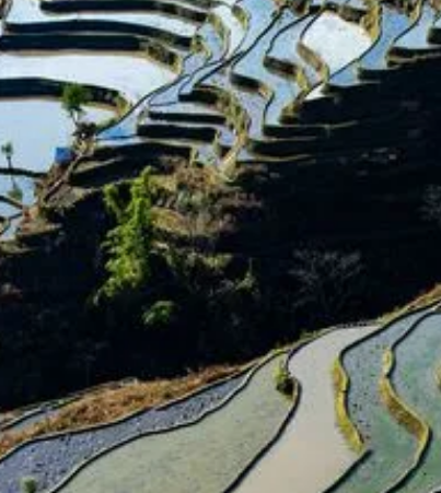 /mingxing/a531826.html