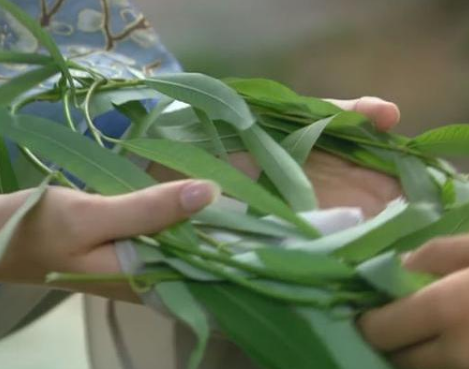 “衔环结草”是什么意思？衔环结草典故介绍