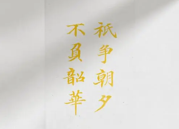 “只争朝夕，不负韶华”是什么意思？出自哪里？