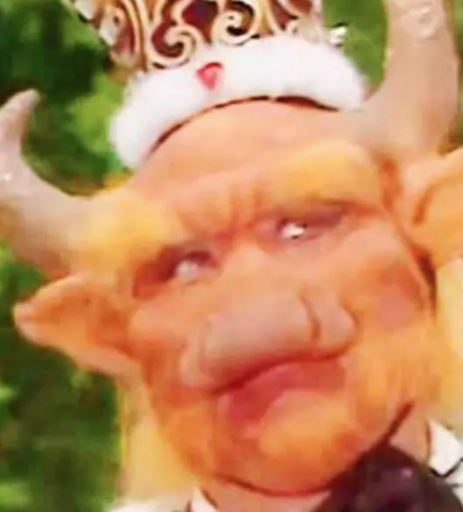 /mingxing/a533621.html