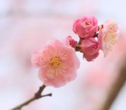 春分有哪些习俗？古人会在春分这一天做什么？
