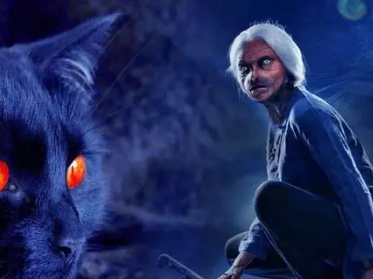 /mingxing/a533995.html