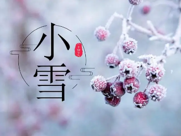 有哪些描写小雪节气的诗词？如何赏析？