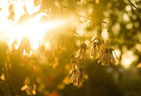 /mingxing/a535374.html