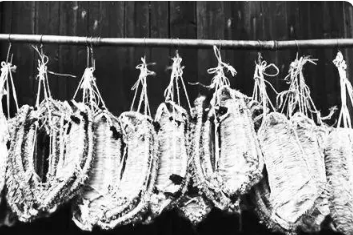 /mingxing/a535377.html