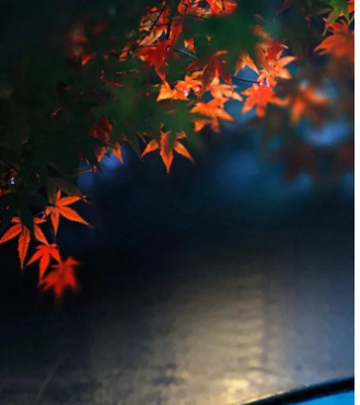 /mingxing/a535382.html