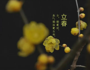 立春如何养生？立春养生喝什么茶饮？