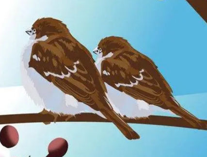 小鸟依人——一个温暖的典故