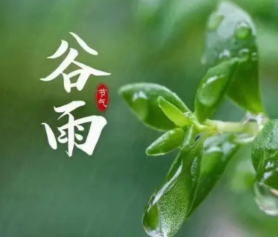 谷雨节气：春耕的号角与生活的色彩