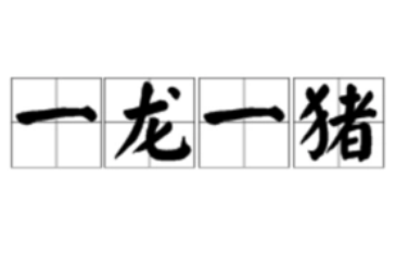 成语“一龙一猪”是什么意思？用来比喻两个人什么？