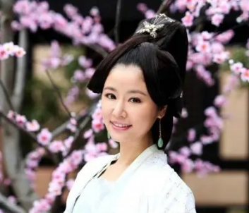 梅妃与杨贵妃：唐代宫廷中的宠爱之争