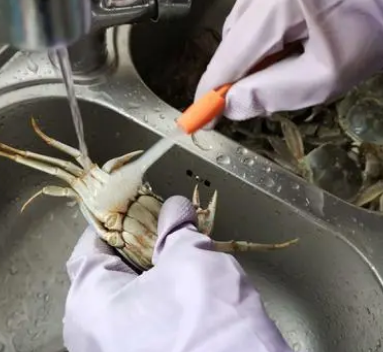 螃蟹怎么清洗和处理？揭秘正确步骤