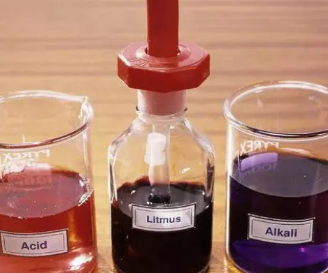 石蕊和酚酞：化学中的变色龙