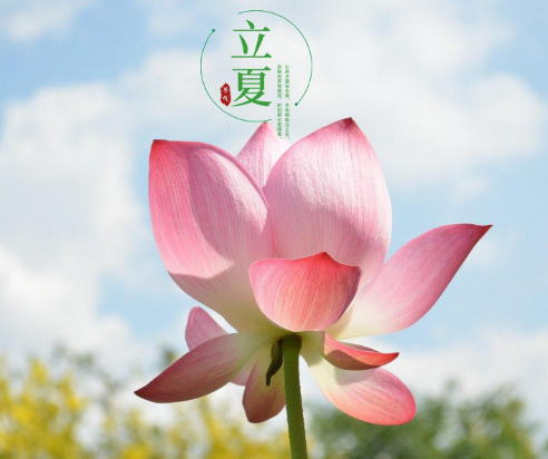 立夏节气：迎接夏日的开始