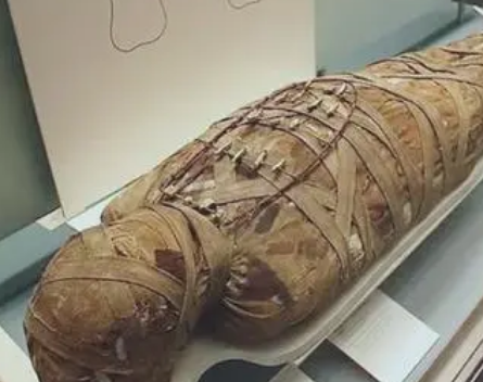 木乃伊的神秘面纱：古埃及的人工干尸