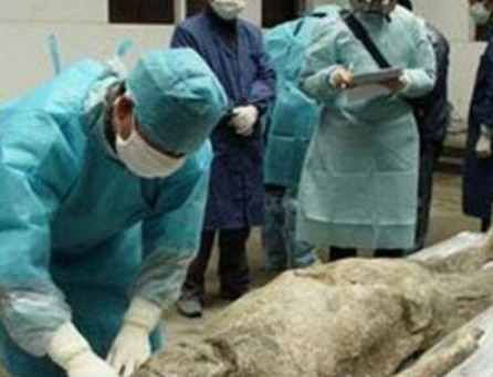 貂蝉古尸复原图揭示出的历史真相:美貌与心计的传奇