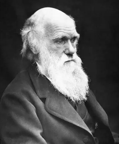 探索自然选择的先驱——查尔斯·达尔文的生平与成就