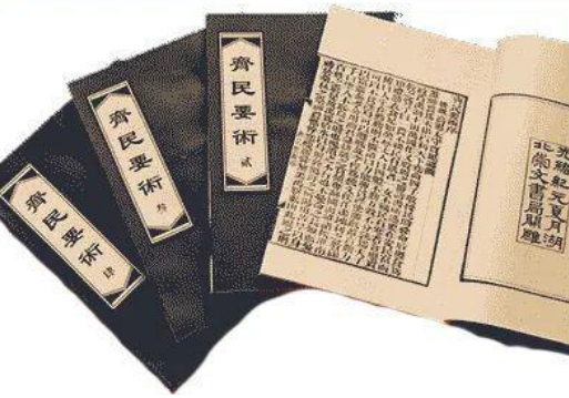 齐民要术中的美食瑰宝