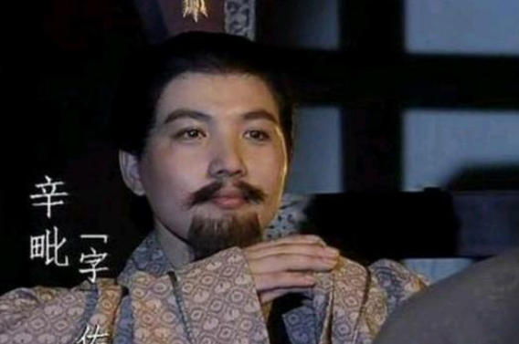 辛毗与荀彧：亦师亦友的典范