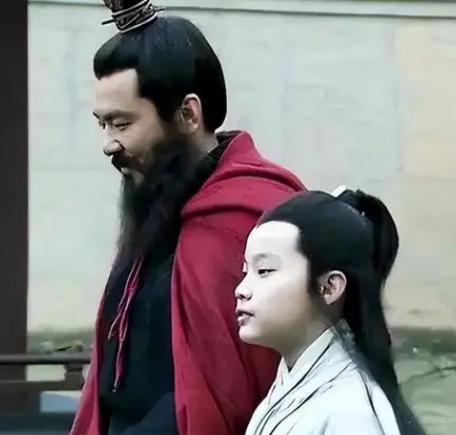 曹冲未继承王位的原因探究