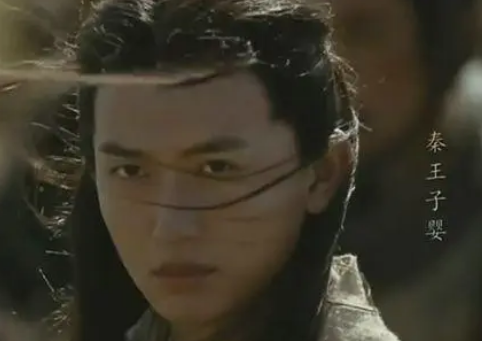 智勇之间：探究子婴如何利用时机与人性理解诛杀赵高