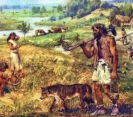 母系社会向父系社会转变：原因与影响