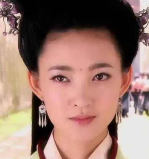 探秘历史人物：慎夫人之子的身份之谜