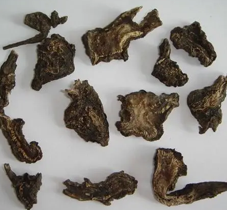 探究古代无药可解的剧毒之物