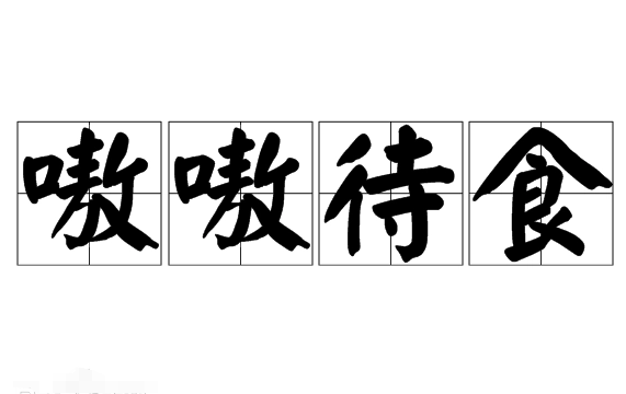 探秘成语“嗷嗷待食”的含义与应用