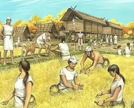 探寻绳文时代：名称背后的历史密码