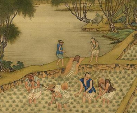 探寻古代土地改良之道，提升粮食产量之策