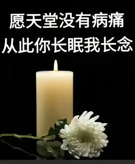 悼：谥号体系中的平谥之辨
