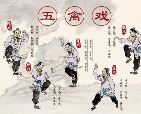 五禽戏虽好，但年轻人需谨慎：解析传统养生术与现代生活的错位