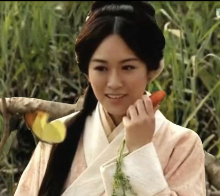 黄月英为何被称为“阿丑”：历史、传说与文化隐喻的交织