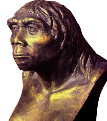 北京人与山顶洞人：跨越时空的文明对话