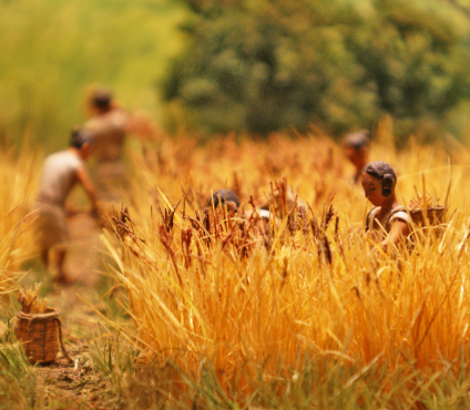 弥生时代：日本文明转折与中国秦汉文明的跨海交响