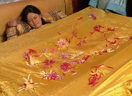 甄嬛二次产子：被褥藏菊背后的多重深意