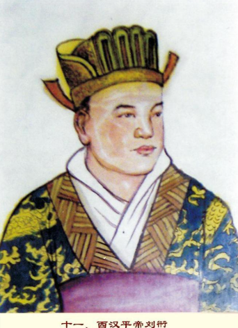 傀儡之位：体弱多病的刘衎缘何登上西汉皇位