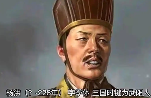 蜀汉脊梁：杨洪的忠清之志与家国担当