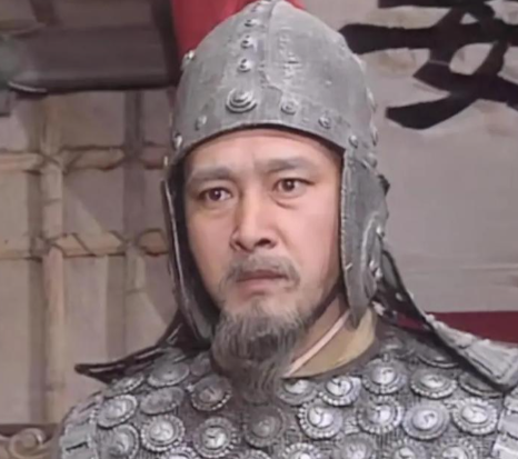 十万雄师难挽狂澜：姜维守蜀的困局与宿命