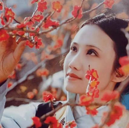 槛外孤光：解码妙玉的复杂人物关系网