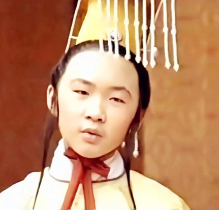 虚实交织：韩林儿与张无忌的传奇映照