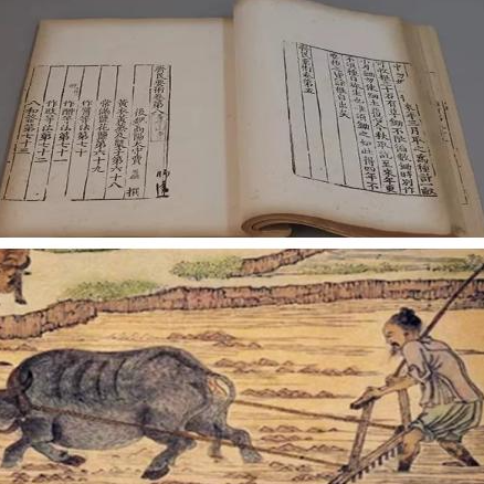 氾胜之书：读音之辨与农学瑰宝