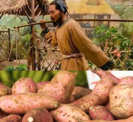 历史真相不容戏谑：陈振龙引种红薯确为救民壮举