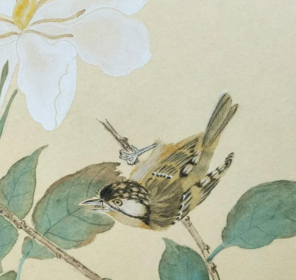 徐熙：跨越时空的性别之辨