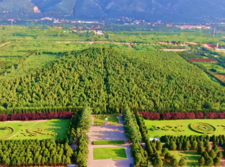 千年谜团：秦始皇陵为何至今未被全面发掘？