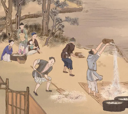 古代农田产量：千年耕耘下的产量变迁